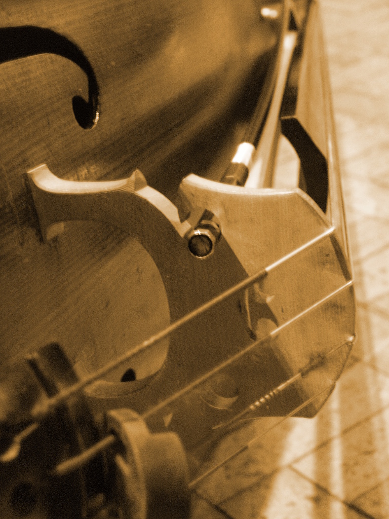 Picture of double bass